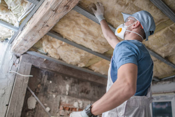 Best Insulation Maintenance and Repair in Gibson City, IL